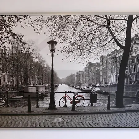 Campoamor Centro - Coqueto Con Wifi. شقة *