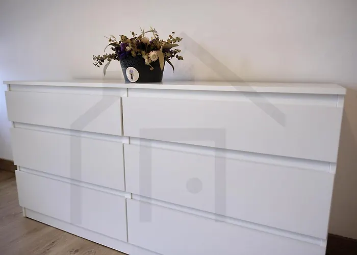 Apartamento Campoamor Centro - Coqueto Con Wifi. *