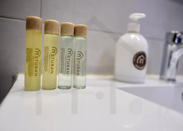 Campoamor Centro - Coqueto Con Wifi. * Oviedo